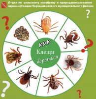Подробнее...