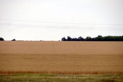 IMG 6828