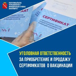 WhatsApp Image 2021 11 19 at 15.29.20