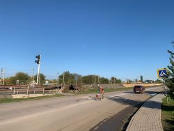 IMG 20221017 WA0000