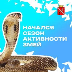 IMG 20240517 WA0002