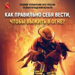 IMG 20250301 182418 062