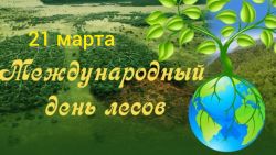 IMG 20250321 WA0002