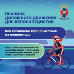 pdd velo